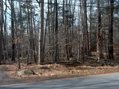 52 Red Hawk Dr, Paupack Township, PA 18436 - photo 4