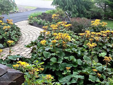 211 Hermit Thrush Rd, Pocono Pines, PA 18350 - photo 2