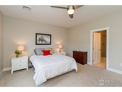 414 Cajetan St, Fort Collins, CO 80524 - photo 7