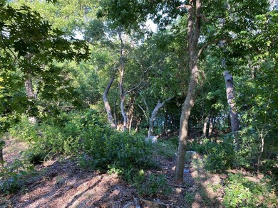 1297 Elm Ridge, Denison, TX 75020 - photo 6