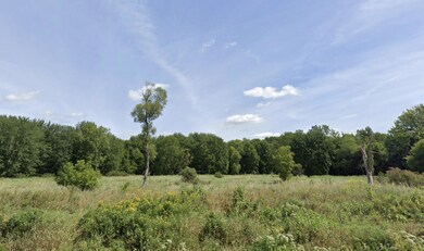 2407 Gale Rd, Eaton Rapids, MI 48827 - photo 4