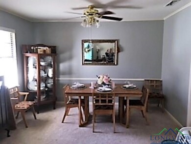 200 Alpine Dr, Tyler, TX 75701 - photo 7