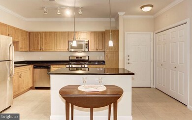 Bryson At Woodland Park unit 403, Herndon, VA 20171 - photo 6