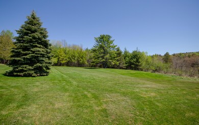 Back Yard 1