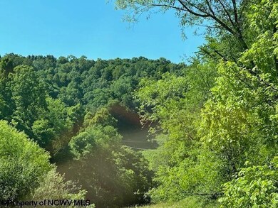 326 Joes Run Rd, Mannington, WV 26582 - photo 5