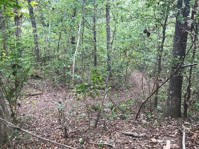 4210/4211 Serenity Ln, Nixa, MO 65714 - photo 5