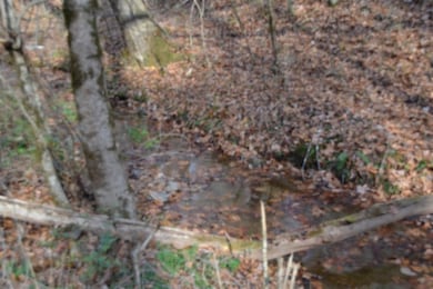 6.70ac Wet Mill Creek Rd, Celina, TN 38551 - photo 7