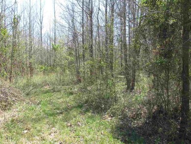 0 County Road 755, Jonesboro, AR 72401 - photo 6