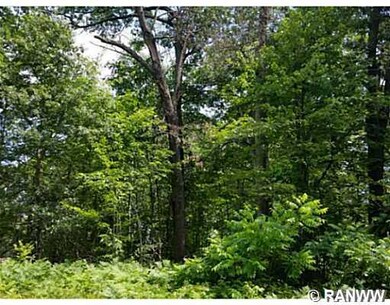 Lot 1 Hwy Ff, Webster, WI 54893 - photo 7