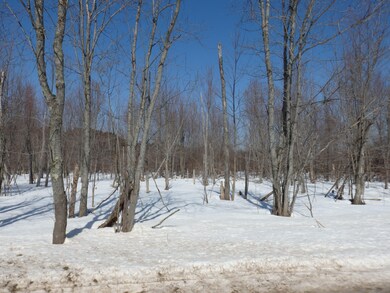 0 Bigge Rd unit 15010075, Kaleva, MI 49645 - photo 5