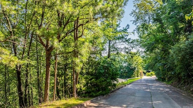 Lot 17 River Ridge Pointe, Little Rock, AR 72227 - photo 3