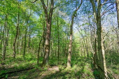 33885 W. Buckingham Rd-02331
