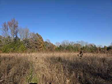 1280 Walnut Grove Rd, Newark, AR 72562 - photo 6