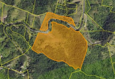 Bo. Río Hondo Carr 156 Km 2 5 Hm 29 4 Sector La Junc, Comerío, PR 00782 - photo 3