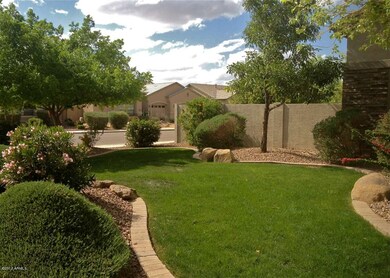 Front Yard