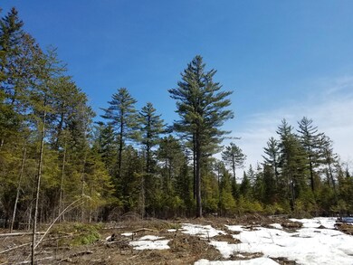 Cleared Part of Lot
