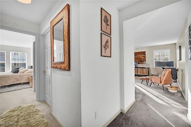 23003 Chandlers Ln unit 219, Olmsted Falls, OH 44138 - photo 6