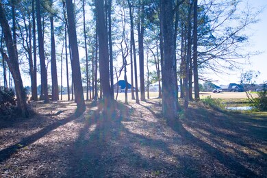 141 Windsor Circle-6