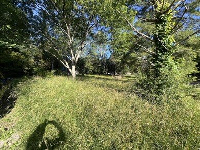 From Driveway