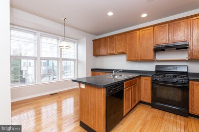 29 Honey Locust Ct, Lafayette Hill, PA 19444 - photo 3