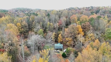 1614 Roy Rd, Ellijay, GA 30536 - photo 2