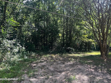 1231 28th St, Meridian, MS 39305 - photo 2