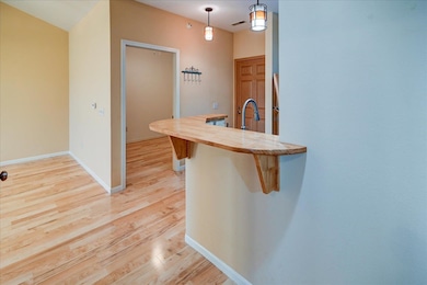 101 Metro Terrace unit 303, Madison, WI 53718 - photo 6