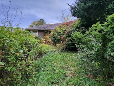 31W184 Wolsfeld Dr, Elgin, IL 60120 - photo 4