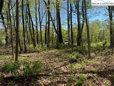 Tract is still wooded with mature trees.
