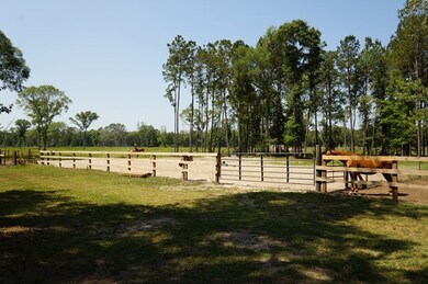 Tract B5 Parker Rd, Brunswick, GA 31525 - photo 5