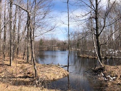 241813 County Road Y, Aniwa, WI 54408 - photo 5