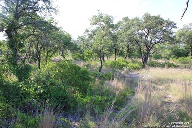 10113 Basilone Ridge, San Antonio, TX 78255 - photo 5