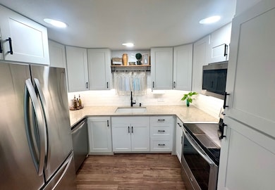 1100 Curlew Rd, Dunedin, FL 34698 - photo 3