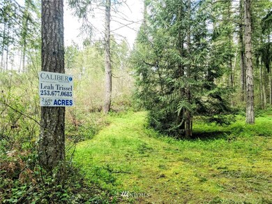 17301 17302 Hill Ct SE, Yelm, WA 98597 - photo 3