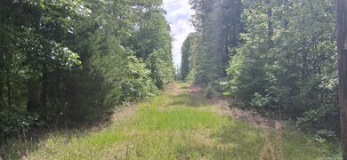 View of woods