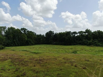 1641 Star Hill Rd, New Ulm, TX 78950 - photo 7