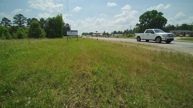 0 Bankhead Hwy and Sassafras unit 202, Carrollton, GA 30116 - photo 3