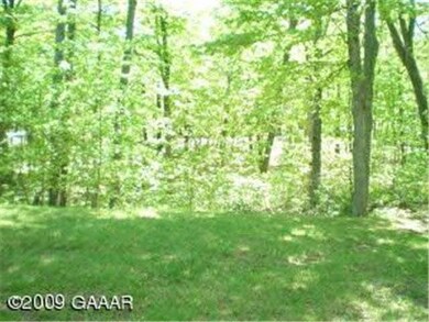 9991 Paulins Ln, Alexandria, MN 56308 - photo 4