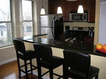 3410 W Parker Ave unit 2, Chicago, IL 60647 - photo 3