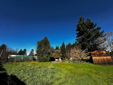 235 Orchard Way, Myers Flat, CA 95554 - photo 5