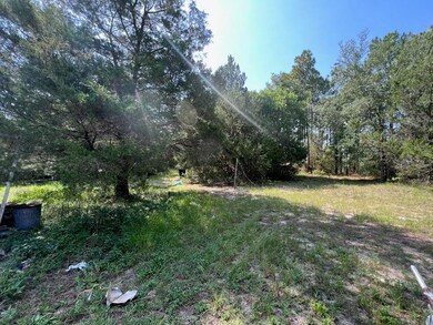21970 SW Anchor Blvd, Dunnellon, FL 34431 - photo 4