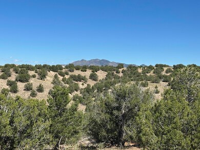 7 Old Rail Pass, La Madera, NM 87047 - photo 7