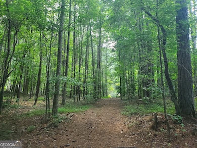 4244 Bradley Dr SW, Snellville, GA 30039 - photo 3