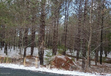 Lot 10 Vallone Way, Blooming Grove Township, PA 18428 - photo 2