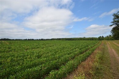 6701 County Road C, Oakland, WI 54830 - photo 4