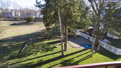 backyard 1 (Copy)