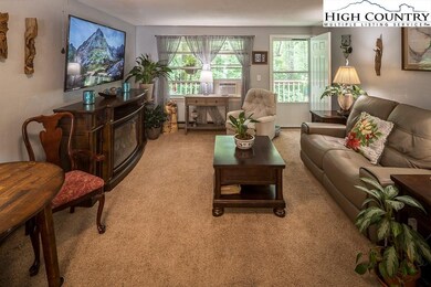 2691 Poplar Grove Rd S unit 4, Boone, NC 28607 - photo 7