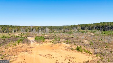 0 Bridges Rd, Carlton, GA 30627 - photo 7