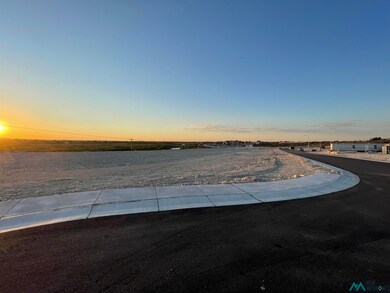 1632 Skyline, Carlsbad, NM 88220 - photo 4