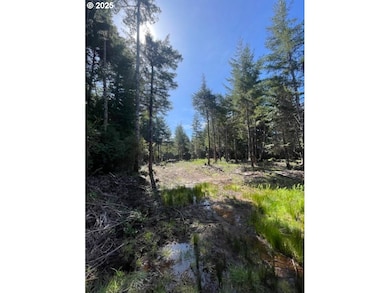 47613 Oregon Coast Hwy unit 1401, Bandon, OR 97411 - photo 5